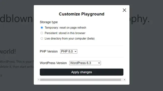 WordPress-Playground-customisation-options