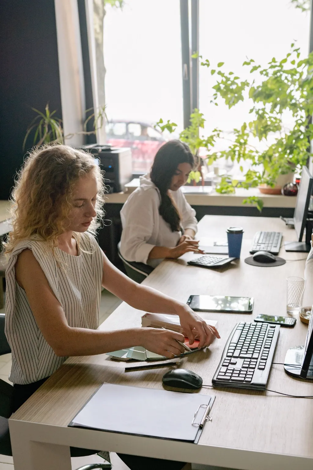 Two women work at a row of desks by a window, one sketching on paper, with plants on the sills.