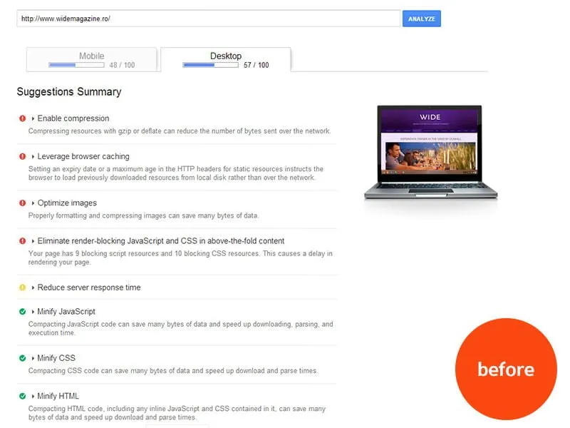 Google PageSpeed Insights score before