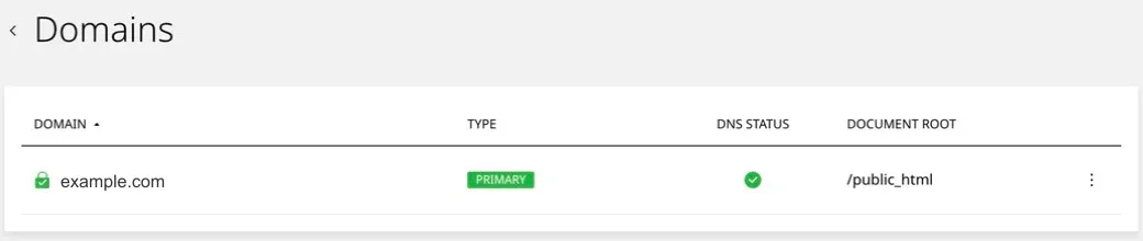 Domain list with a successful DNS status in the Kiravo control panel