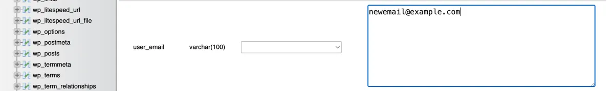 write the new email address for the WordPress administrator