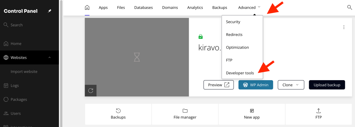 advanced developer tools section in Kiravo control panel