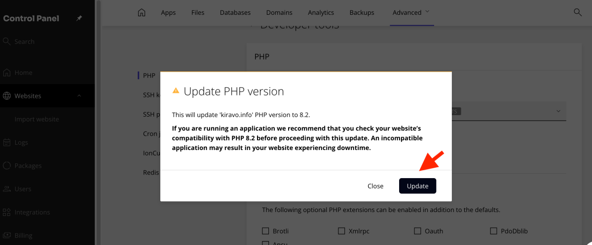 Update button in the PHP version section
