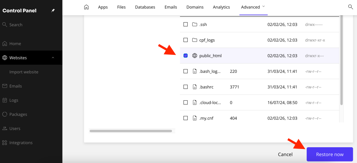 select public_html click restore button