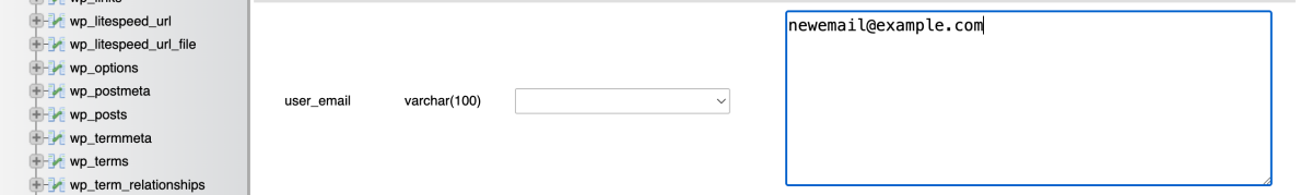 write the new email address for the WordPress administrator